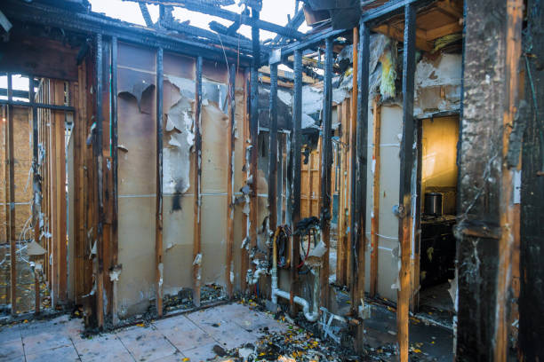 Professional Fire Damage Removal technician working in Long Lake, MN