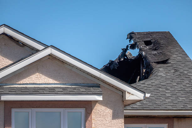 Top rated local Fire Damage Removal specialists in Long Lake, MN